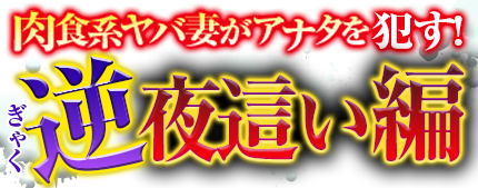 逆夜這い編